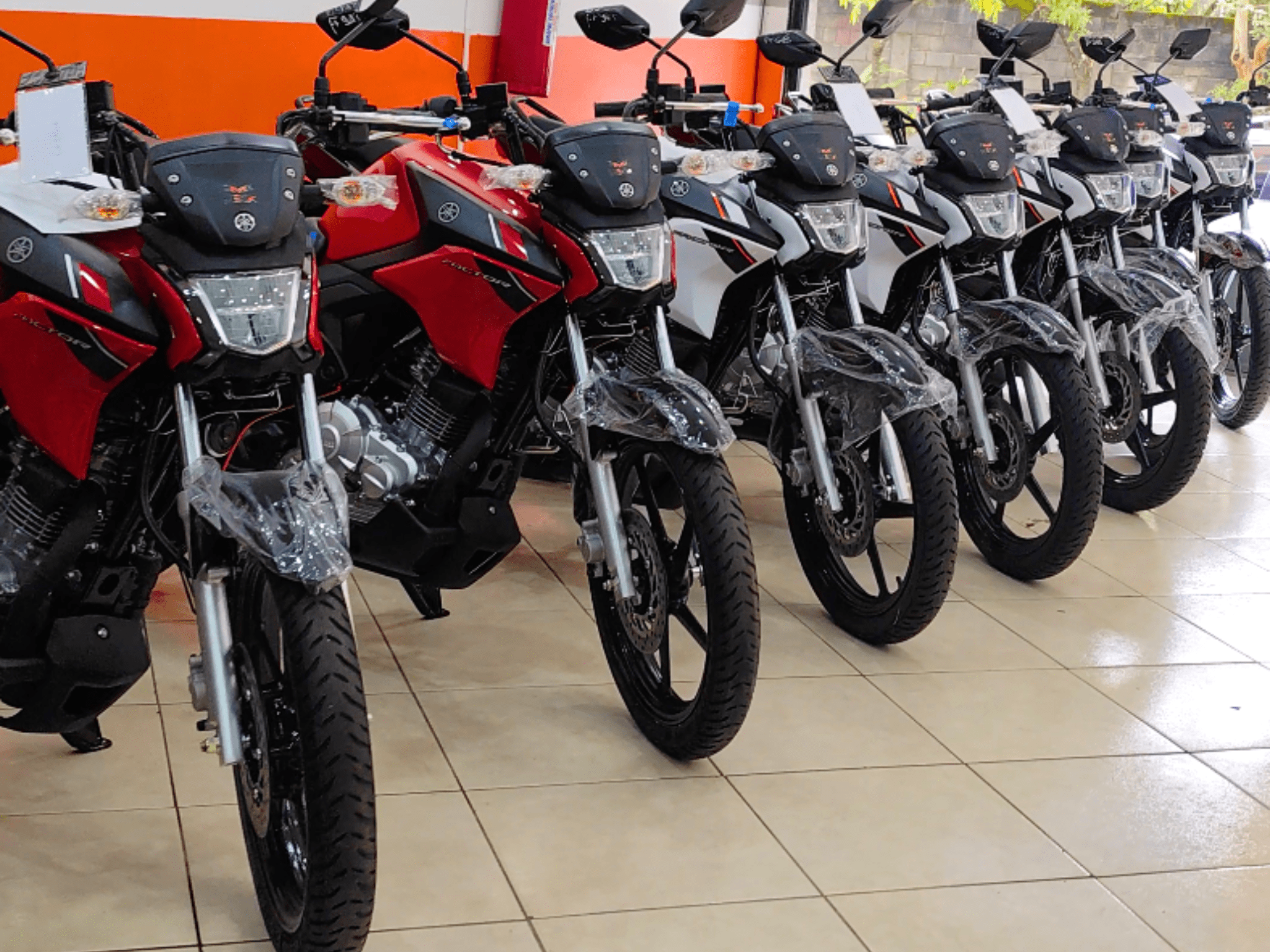 O Checklist Completo para o Sucesso